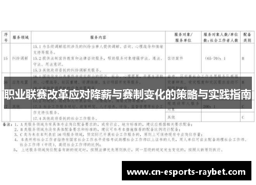 职业联赛改革应对降薪与赛制变化的策略与实践指南