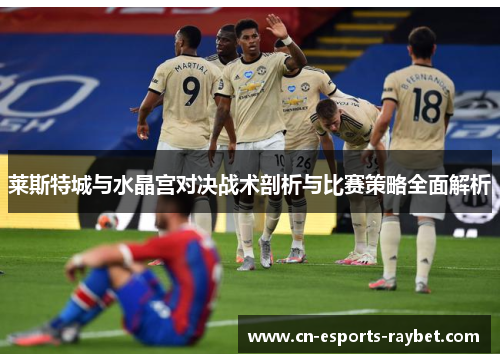 莱斯特城与水晶宫对决战术剖析与比赛策略全面解析