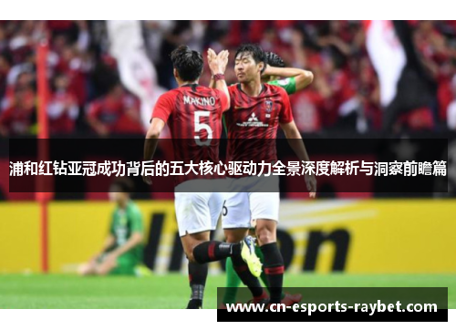 浦和红钻亚冠成功背后的五大核心驱动力全景深度解析与洞察前瞻篇