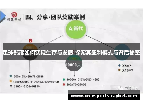 足球部落如何实现生存与发展 探索其盈利模式与背后秘密